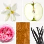 Preview: Duftnoten: Orangenblüte, Apfel, Pfingsrose, Olivenholz, Vanille